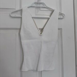 Aritzia Babaton Scult Knit V Neck Tank